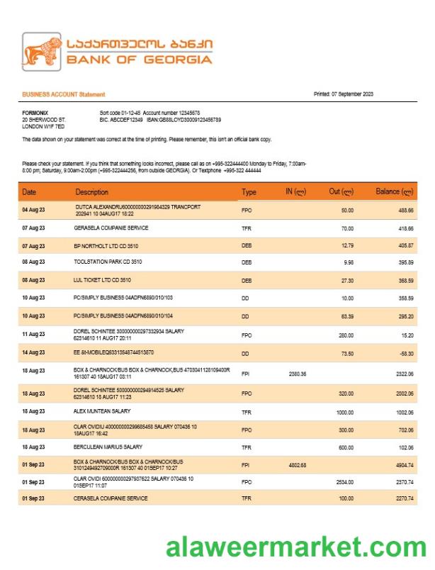 Bank of Georgia business checking account statement Word and PDF templat